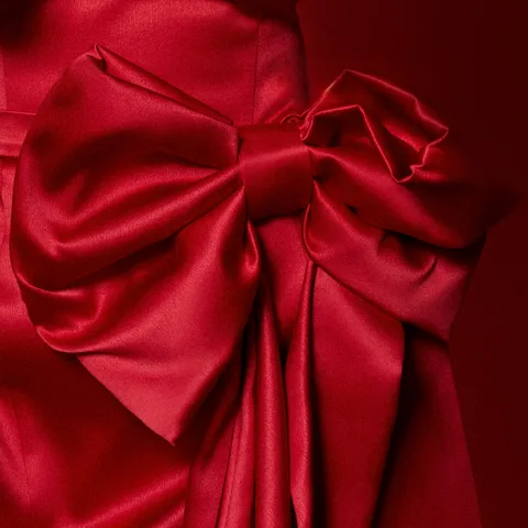 Red bow from the Victoria VEXSO shoot